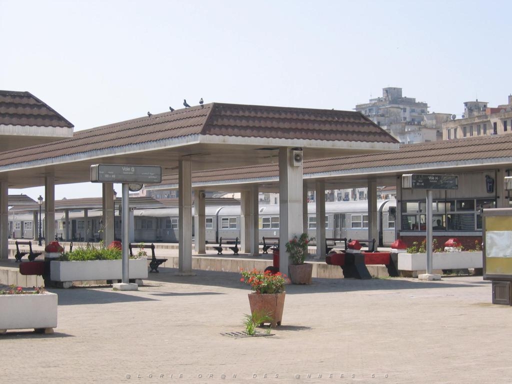 ORAN MAI 2006 C24 LA GARE LES QUAIS.JPG